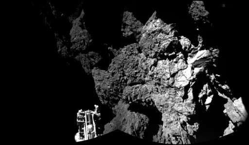 Rosetta-3.jpg