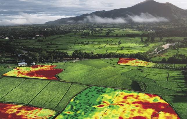 Precision agriculture enabled by data from satellites is allowing farmers to access near-live imagery of fields and crop damage.
