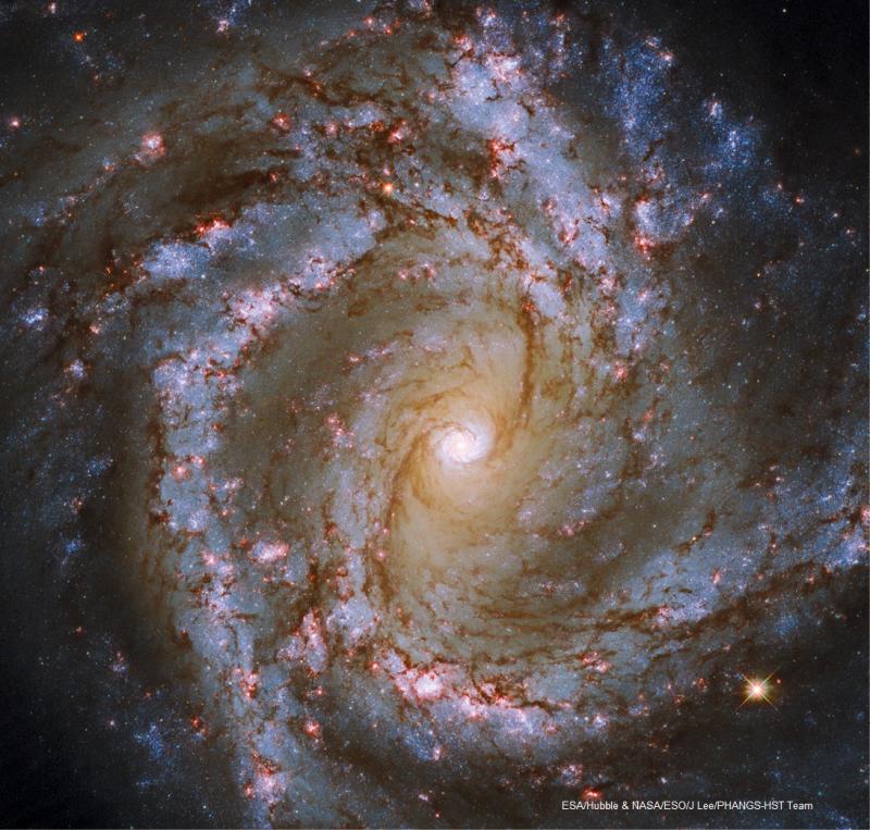 The luminous heart of the galaxy M61 dominates this image