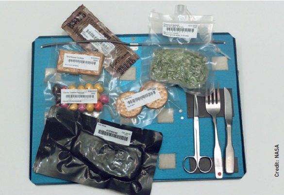 A tray bearing bags of ISS food and utensils, including repackaged M&Ms, shortbread biscuits, crackers, creamed spinach and steak.