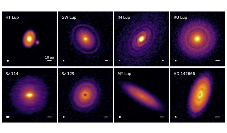 A sample of protoplanetary disks captured by ALMA. Image: ALMA/Andrea Isella/DSHARP