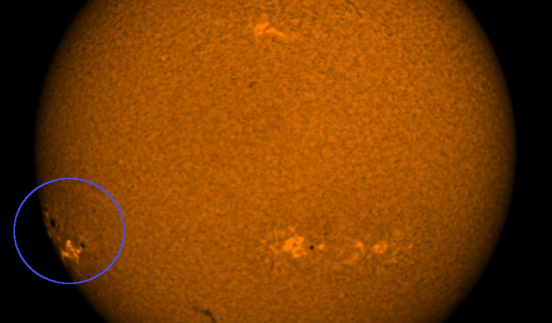Last week solar astronomers at NSF’s National Solar Observatory predicted the emergence of a large sunspot – this week it has now become visible on the eastern limb of the Sun. Image: National Solar Observatory (NSO), AURA, NSF