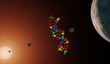 deoxyribonucleic acid (DNA), hachimoji DNA, Life on other planets, nucleotides
