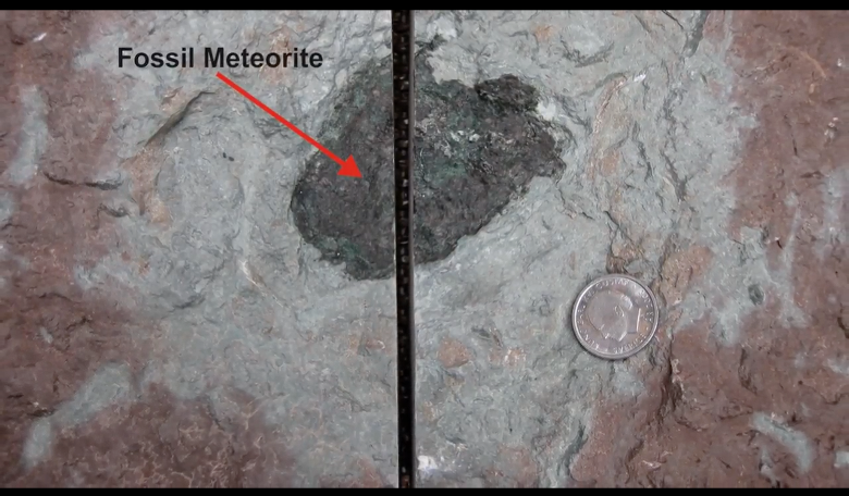 An example of the fossil meteorite discovered in Russia. Image: Lund University