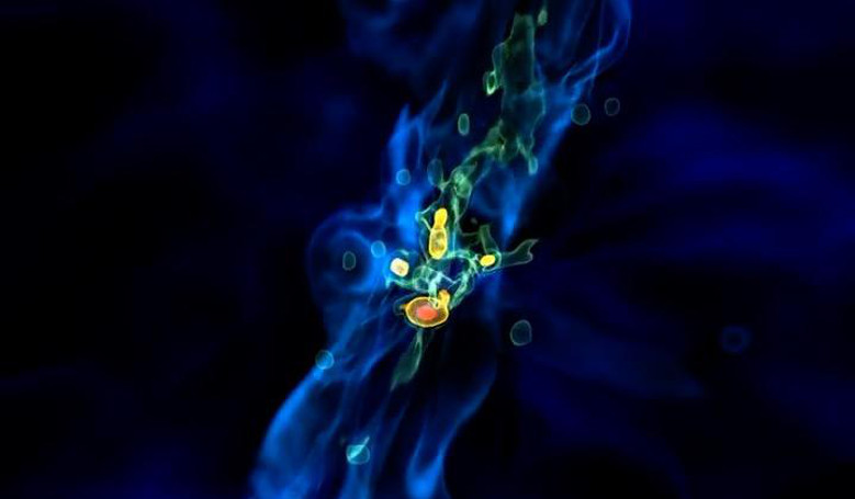 A simulation of a quasar growing under intense accretion streams. Image: Los Alamos National Laboratory