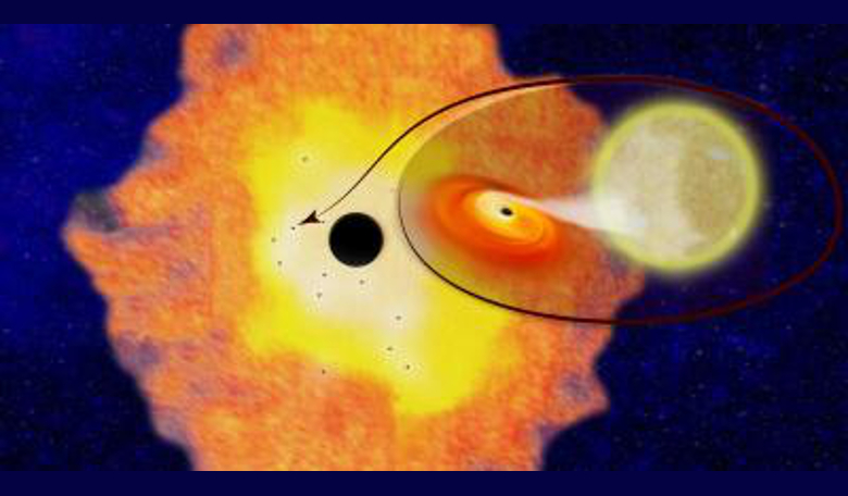 Astronomers have discovered 12 black hole-low mass binaries orbiting Sgr A* at the centre of the Milky Way galaxy, helping to confirm the theory that thousands more should exist near the Galactic Centre. Image: Columbia University