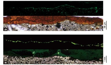 basalt, Life on Mars, microorganisms, mid-ocean floor ridges