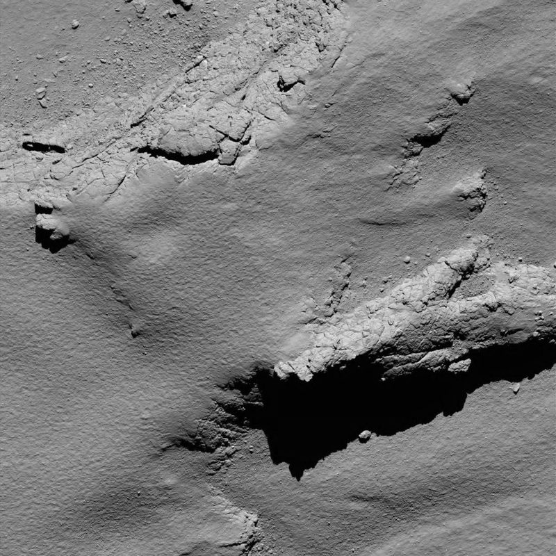 Rosetta-5.jpg