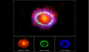 Atacama Large Millimeter/submillimeter Array (ALMA), Chandra X-ray Observatory, Hubble Space Telescope, Large Magellanic Cloud, SN 1987A