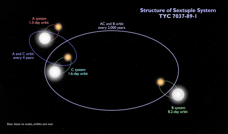This schematic shows the configuration of the sextuple star system TYC 7037-89-1. The inner quadruple – two binaries, A and C, – orbit each other every four years. An outer binary, B, orbits the quadruple roughly every 2,000 years. Image: GSFC