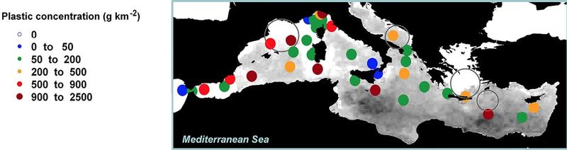 Mass concentrations of plastic litter in surface waters of the Mediterranean.
