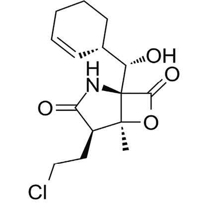 The chemical structure of salinosporamide A which was isolated in 2003