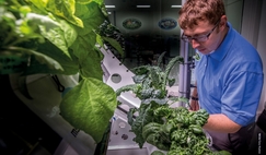 NASA’s Matt Romeyn works in the Crop Food Production Research Area of the Space Station Processing Facility at Kennedy Space Center in Florida.