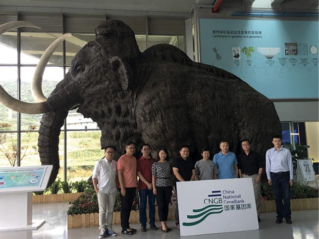 Setting up the project with woolly mammoth in China National Gene Bank