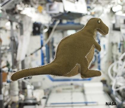 The dinosaur Karen Nyberg sewed for her son Jack during her mission.