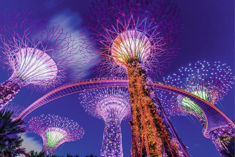 The illuminated Supertree Grove at Gardens by the Bay in Singapore.