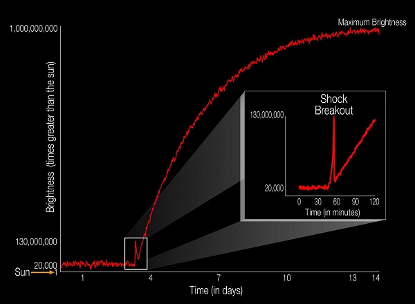 The diagram illustrates the brightness of a supernova event relative to the sun as the supernova unfolds over time. For the first time, a supernova shock wave, or shock breakout, has been observed in visible light wavelengths as it reached the surface of the star from deep within the star's core. The explosive death of this star, called KSN 2011d, reached its maximum brightness in about 14 days. The shock breakout itself lasted only about 20 minutes (see inset). Image credit: NASA Ames/W. Stenzel